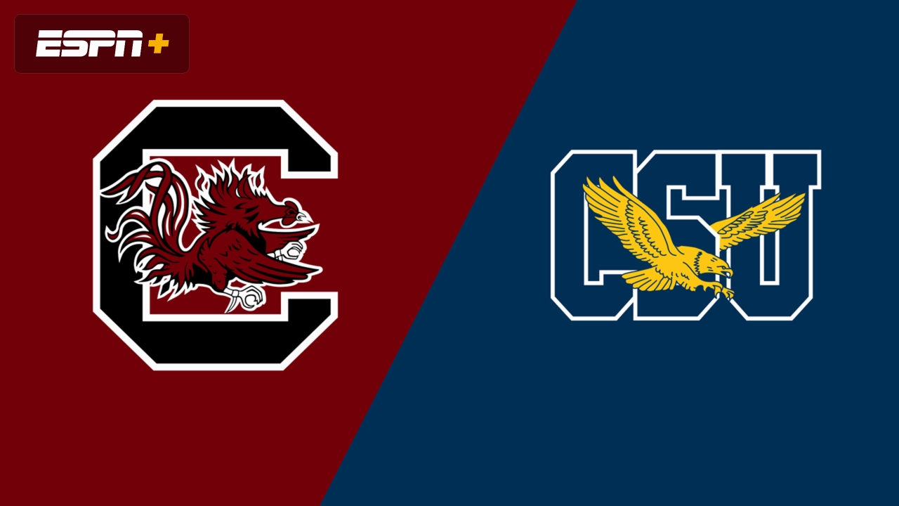 #3 South Carolina vs. Coppin State