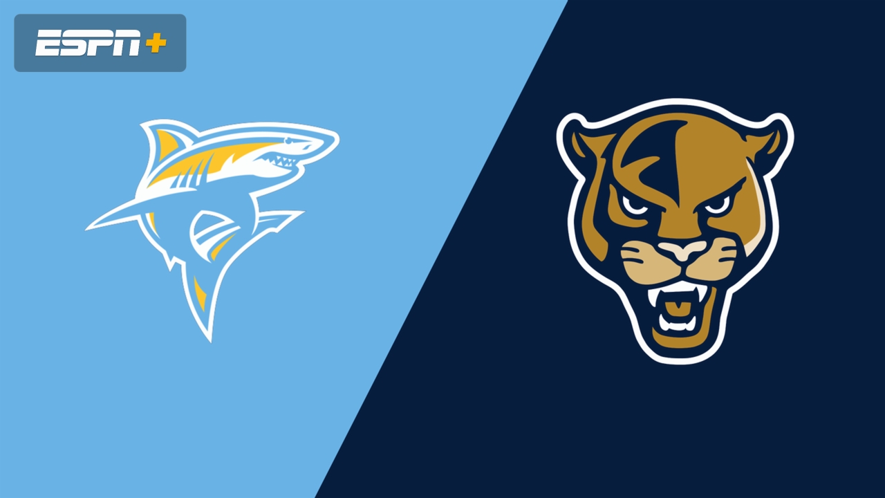 Long Island University vs. Florida International