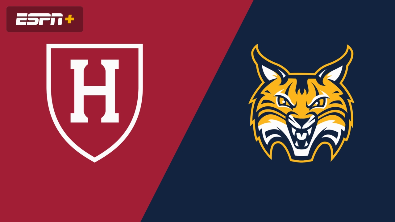 Harvard vs. #6 Quinnipiac