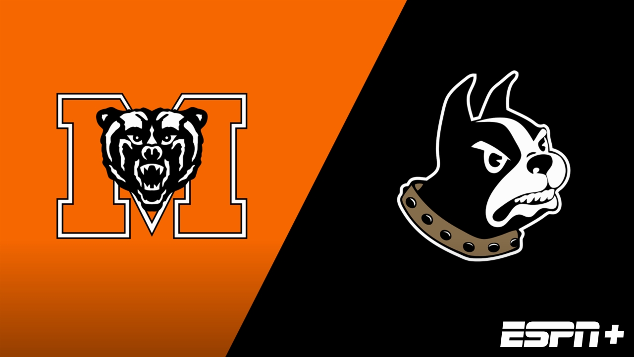 Mercer vs. Wofford