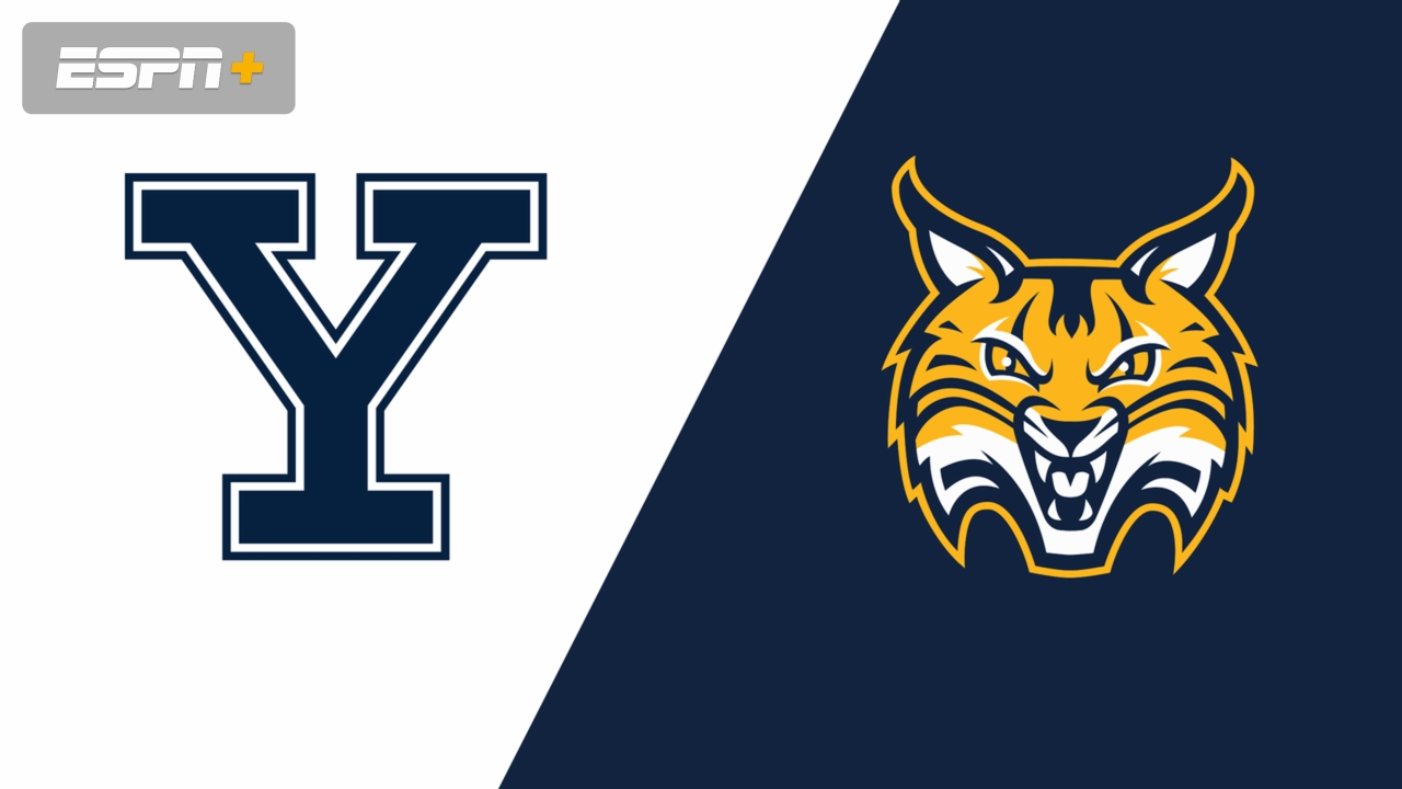 Yale vs. Quinnipiac