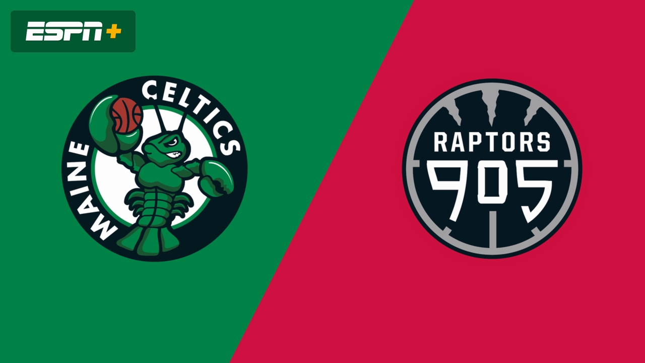 Maine Celtics vs. Raptors 905