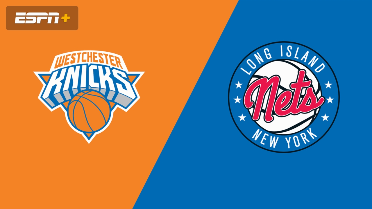 Westchester Knicks vs. Long Island Nets