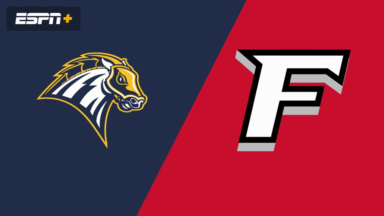 New Haven vs. Fairfield