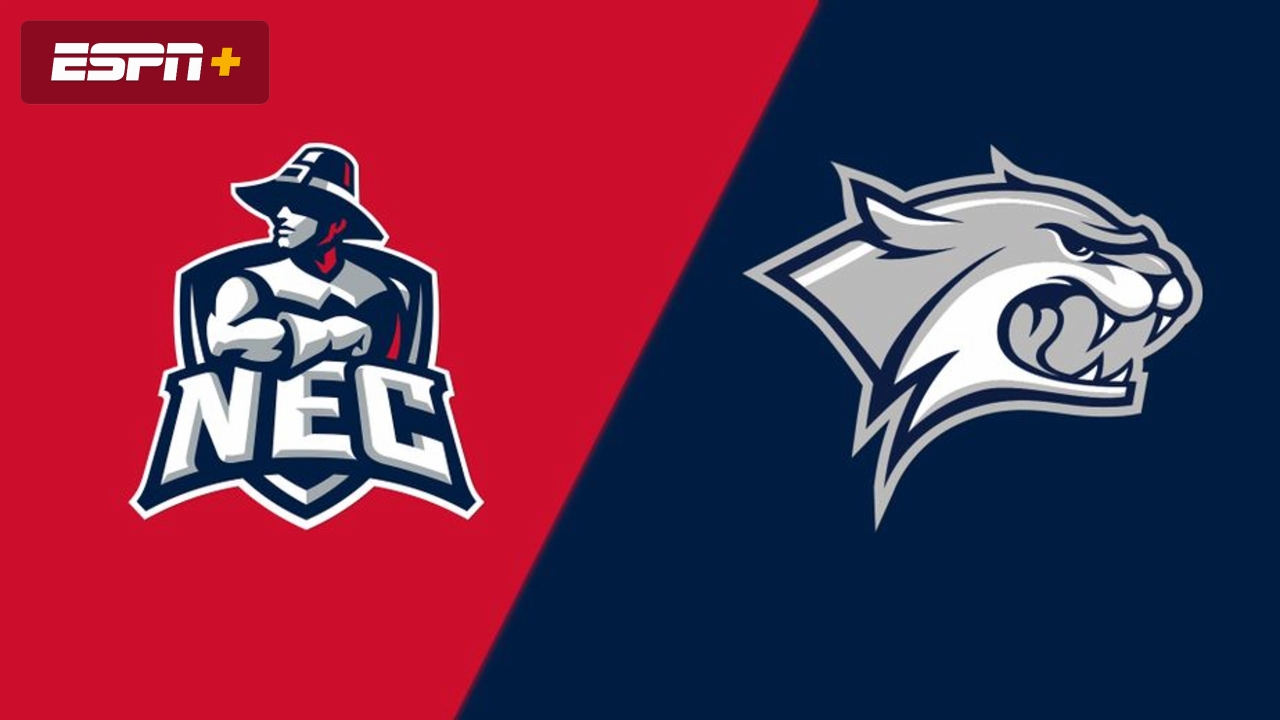 New England College vs. New Hampshire