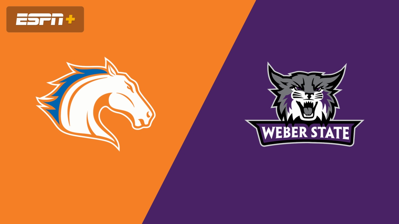 UT Arlington vs. Weber State