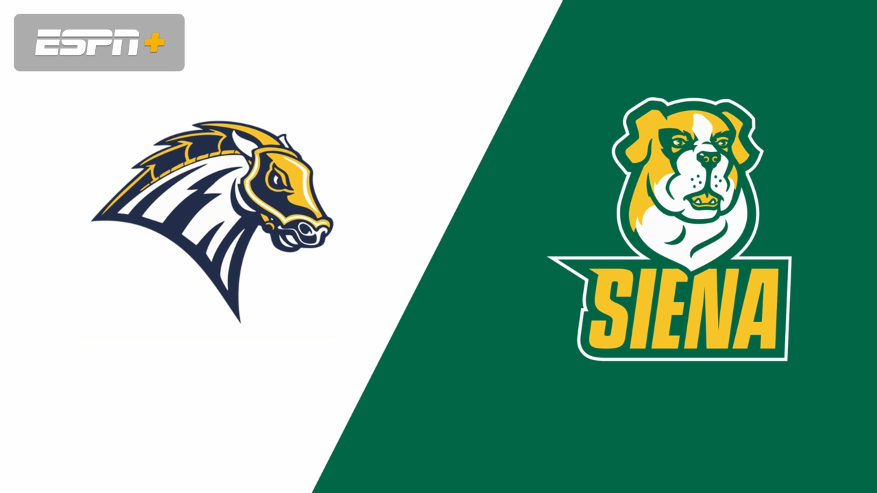 New Haven vs. Siena
