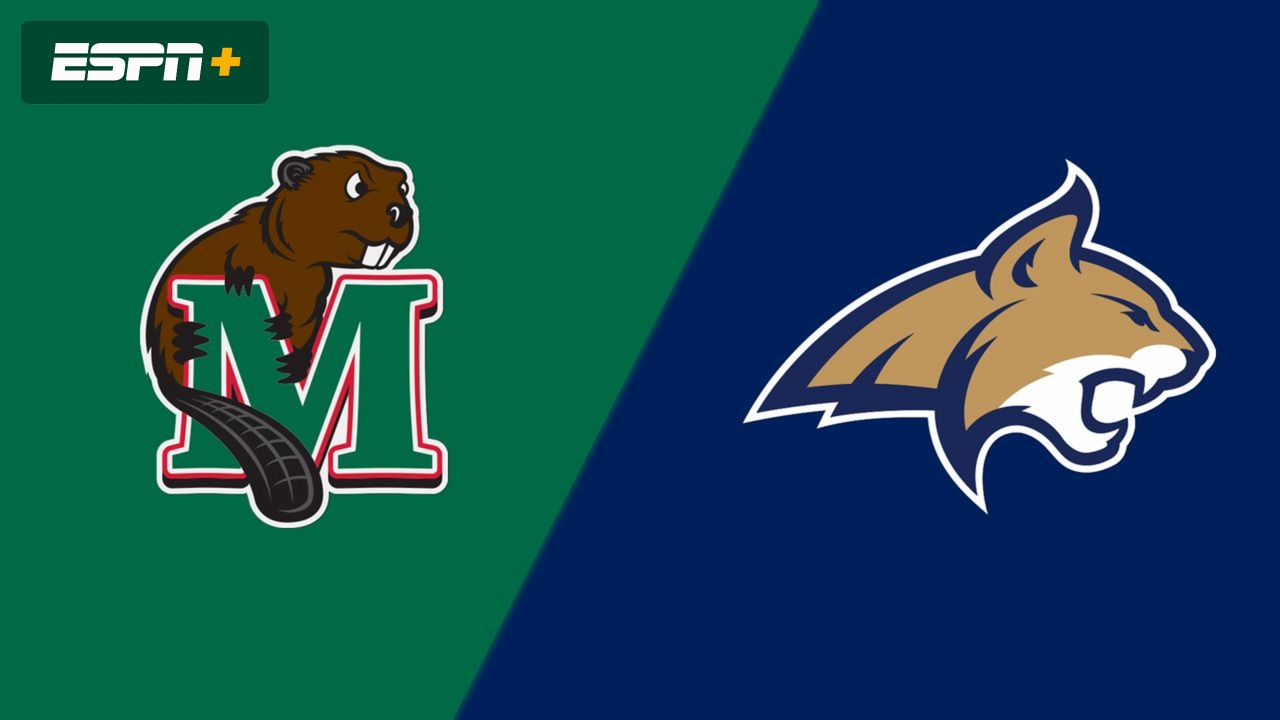 Minot State vs. Montana State