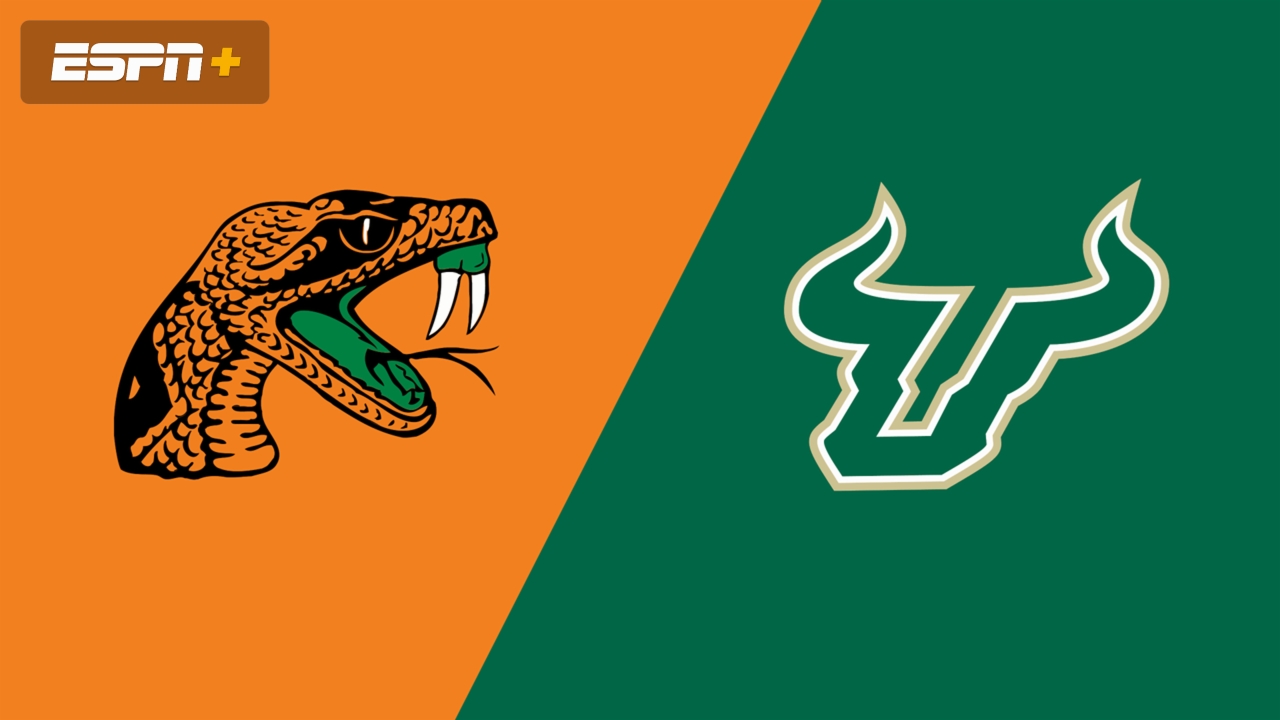 Florida A&M vs. South Florida