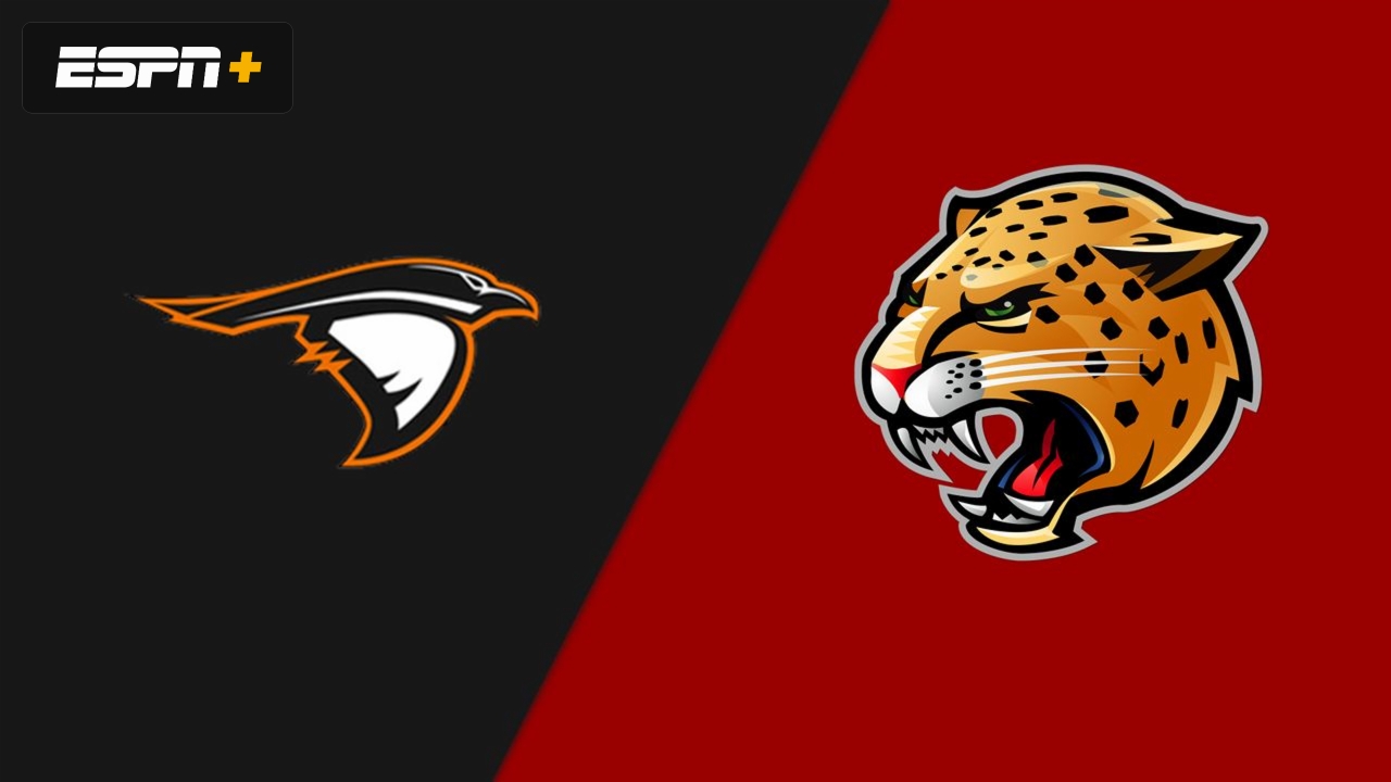 Anderson vs. IU Indianapolis