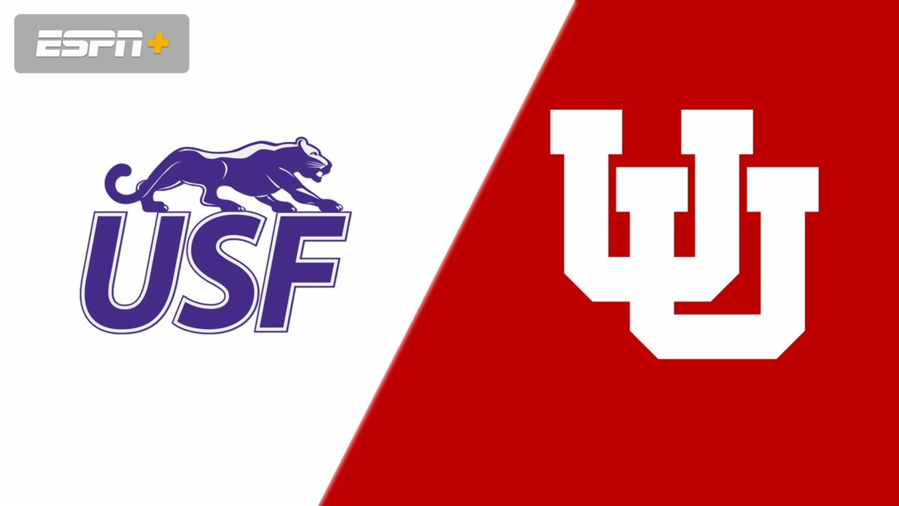 Sioux Falls vs. Utah