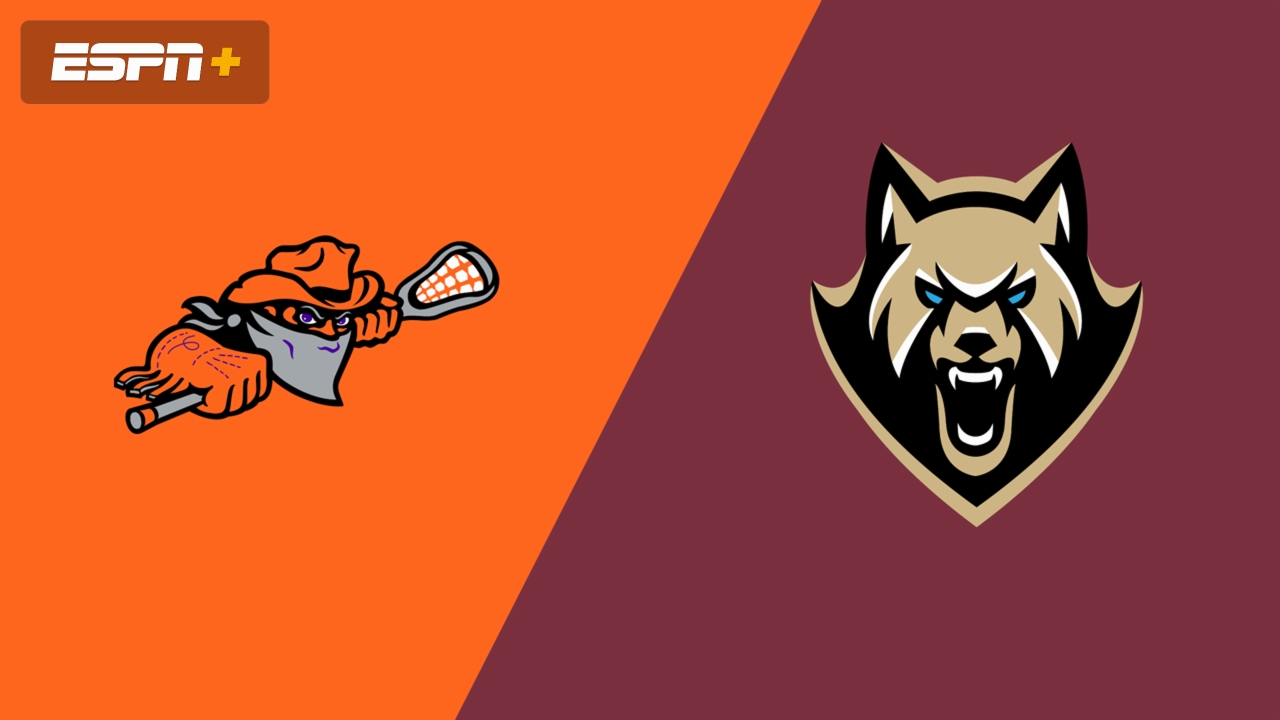 Buffalo Bandits vs. Oshawa FireWolves