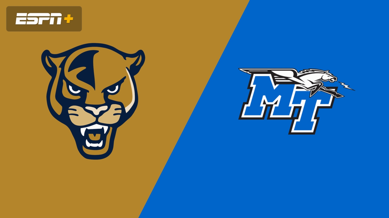 Florida International vs. Middle Tennessee (Quarterfinal)
