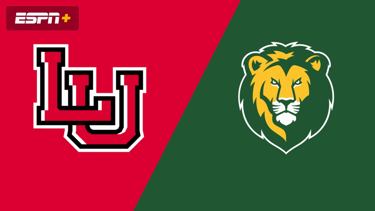 Lamar vs. SE Louisiana (Quarterfinal)