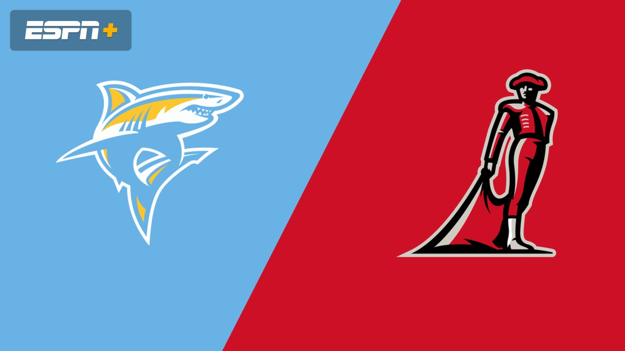 Long Island University vs. #11 Cal State Northridge