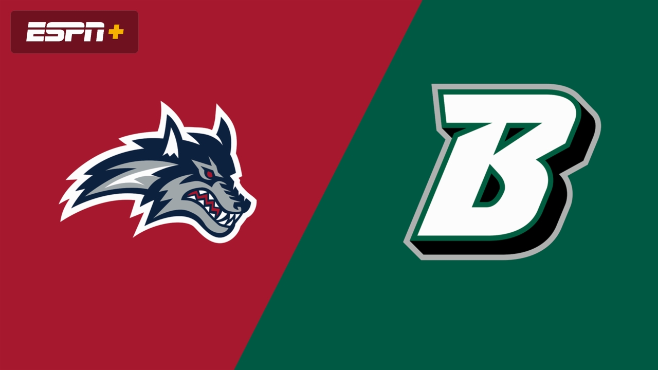 Stony Brook vs. Binghamton