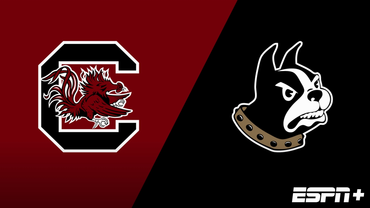 South Carolina vs. Wofford