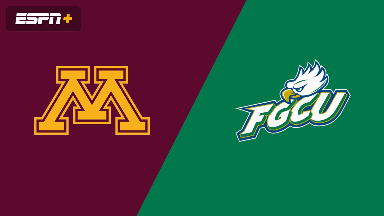 Minnesota vs. Florida Gulf Coast
