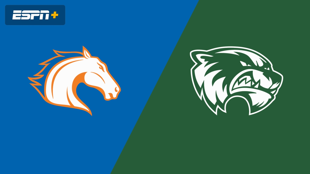 UT Arlington vs. Utah Valley (Semifinal #1)