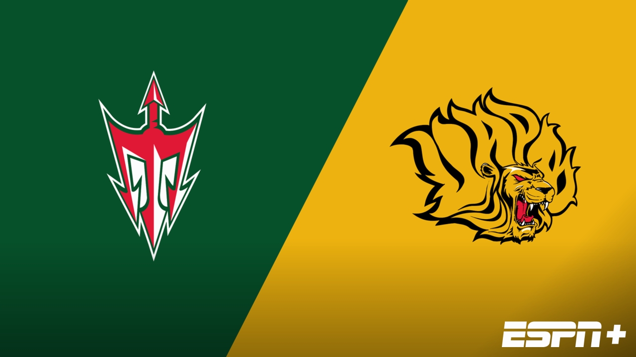 Mississippi Valley State vs. Arkansas-Pine Bluff (Game 4)