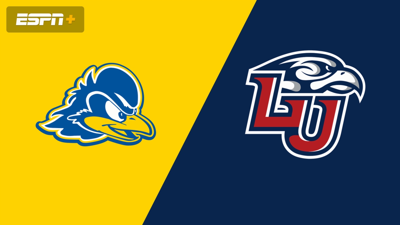 Delaware vs. Liberty