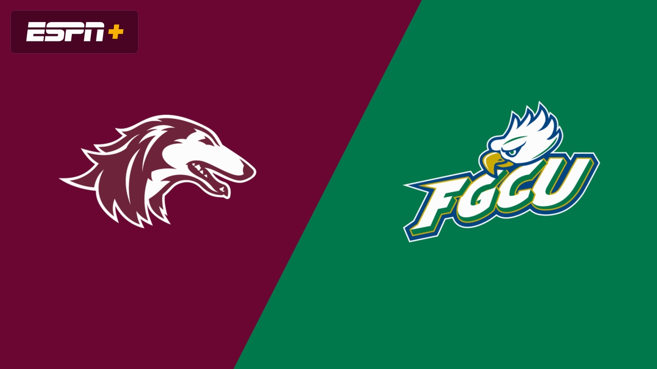 Southern Illinois vs. Florida Gulf Coast