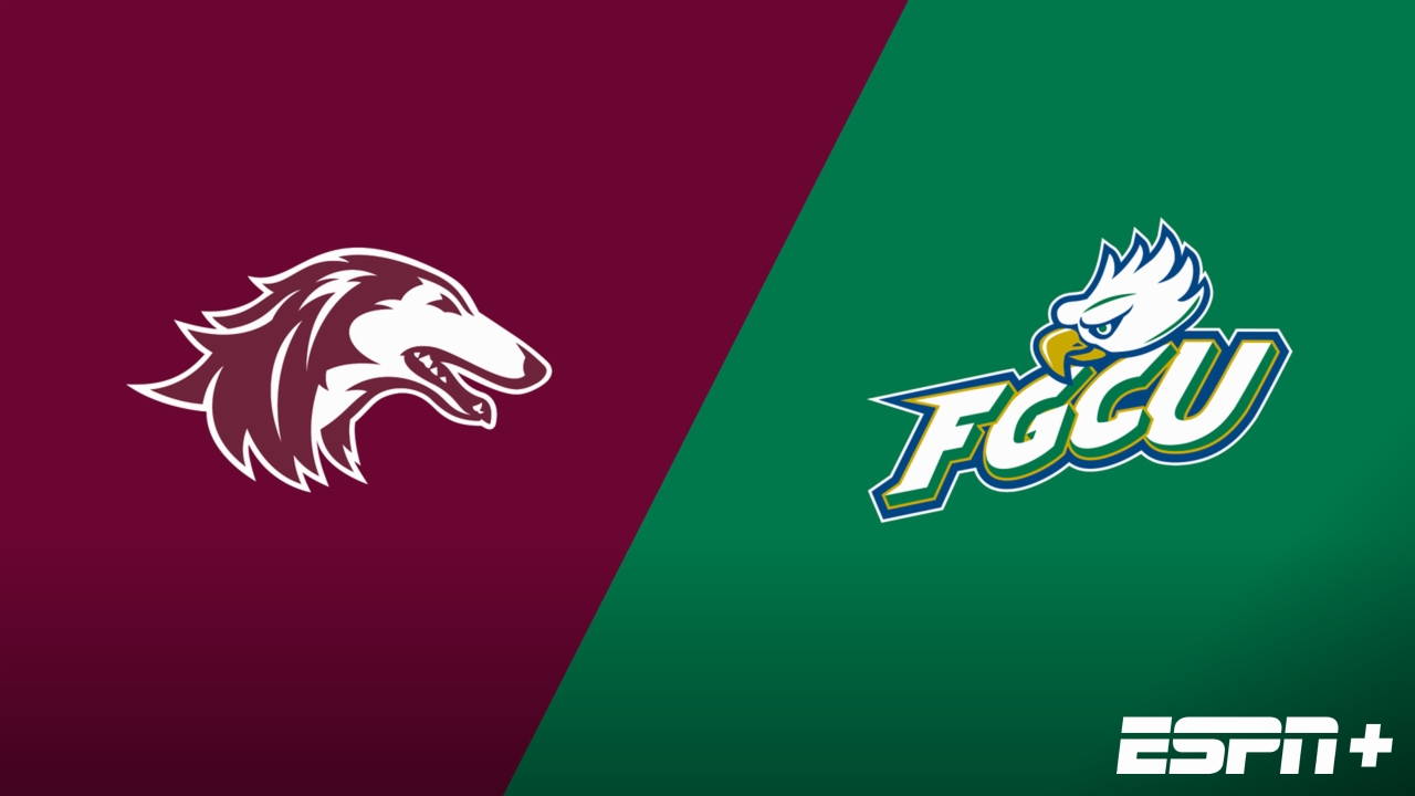Southern Illinois vs. Florida Gulf Coast