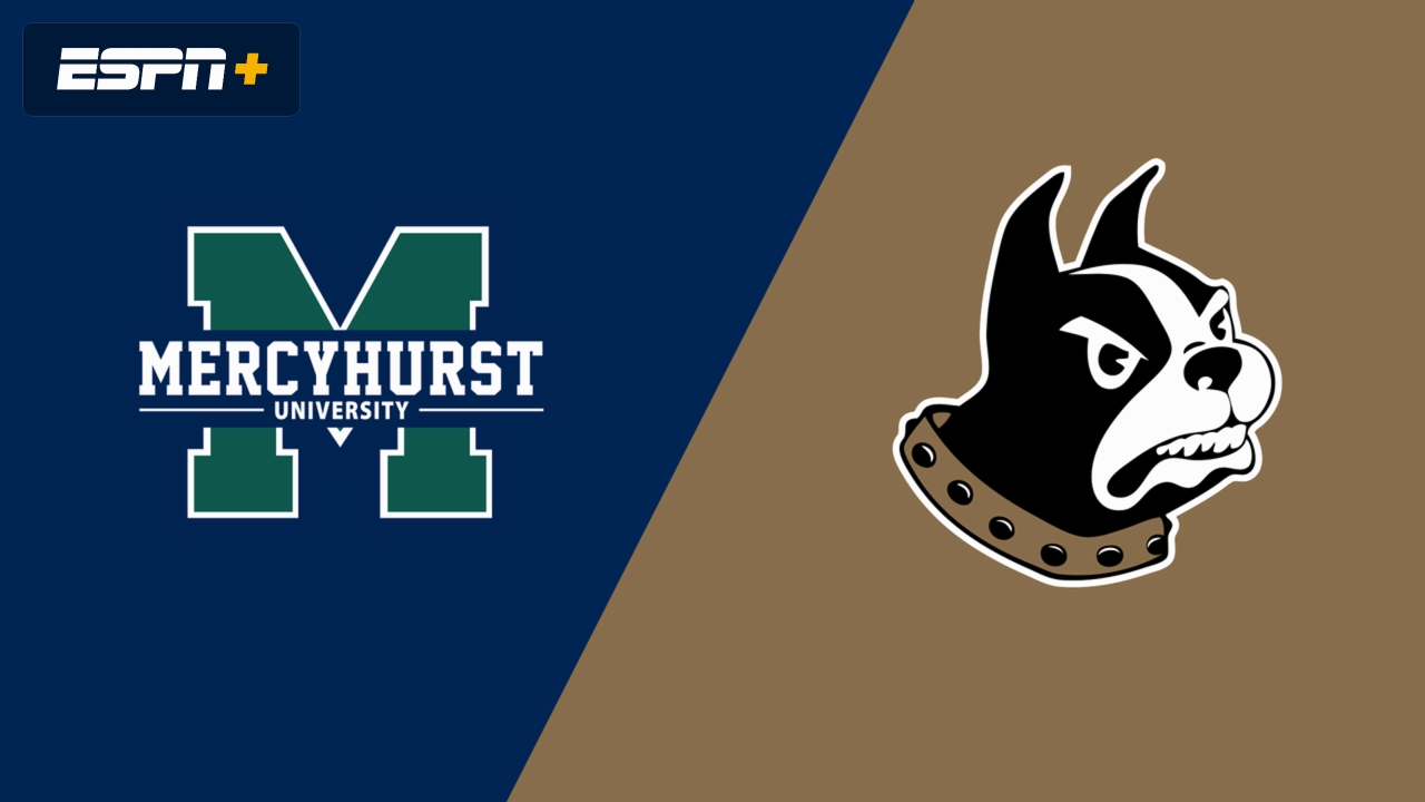 Mercyhurst vs. Wofford