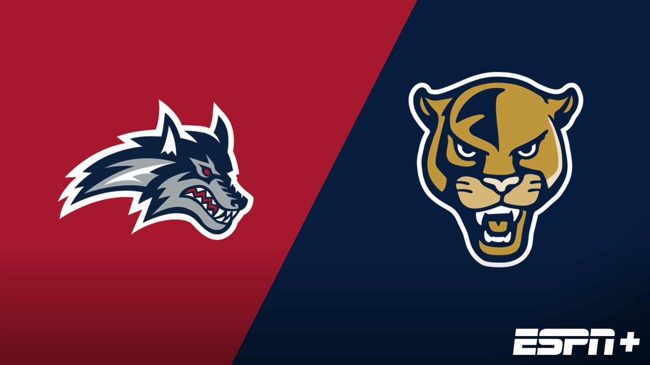 Stony Brook vs. Florida International