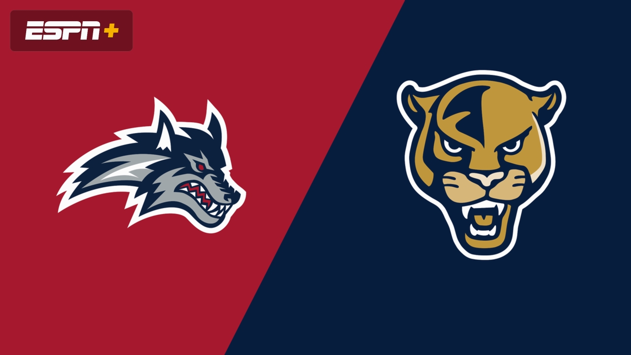 Stony Brook vs. Florida International