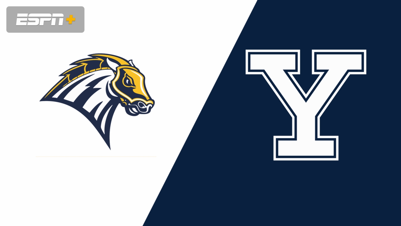 New Haven vs. Yale