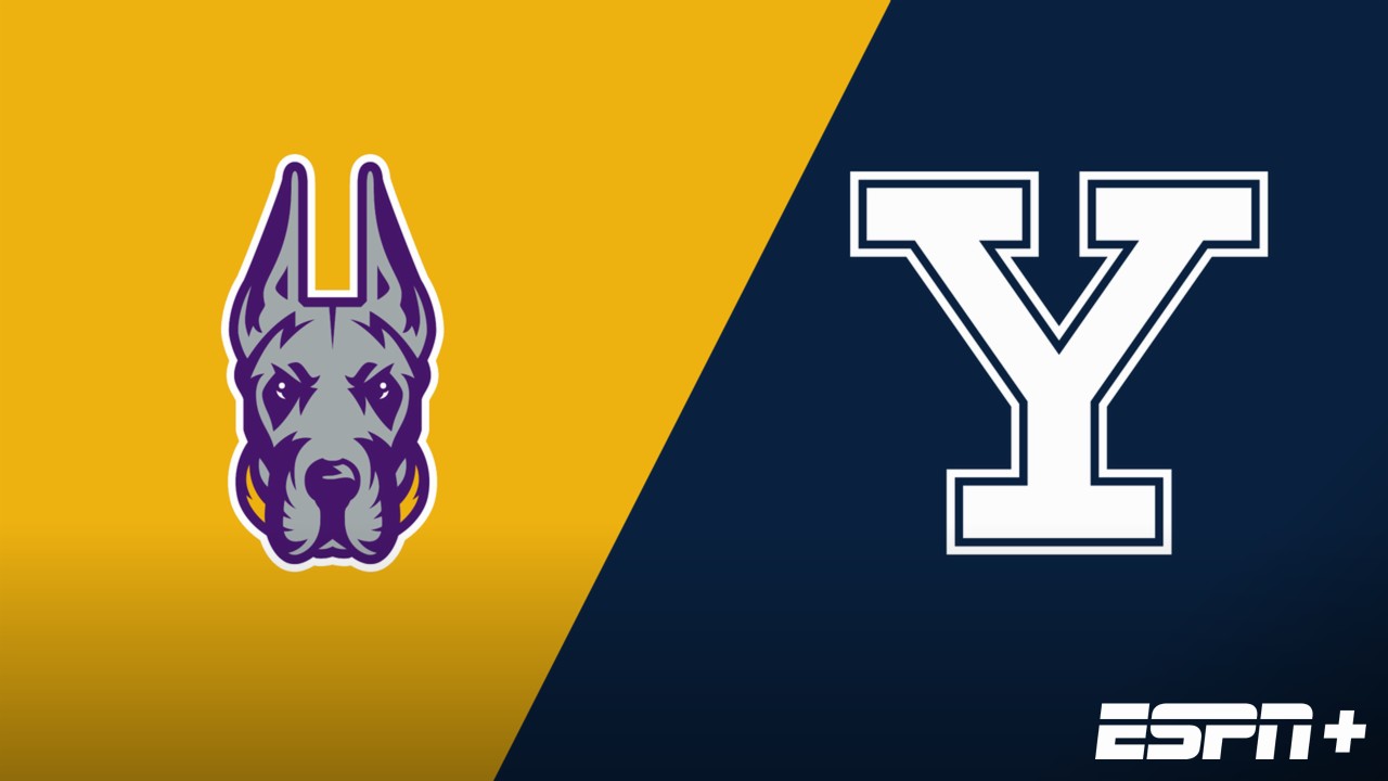 UAlbany vs. Yale