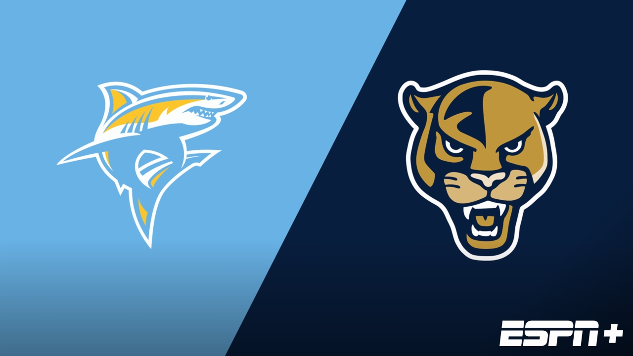 Long Island University vs. Florida International