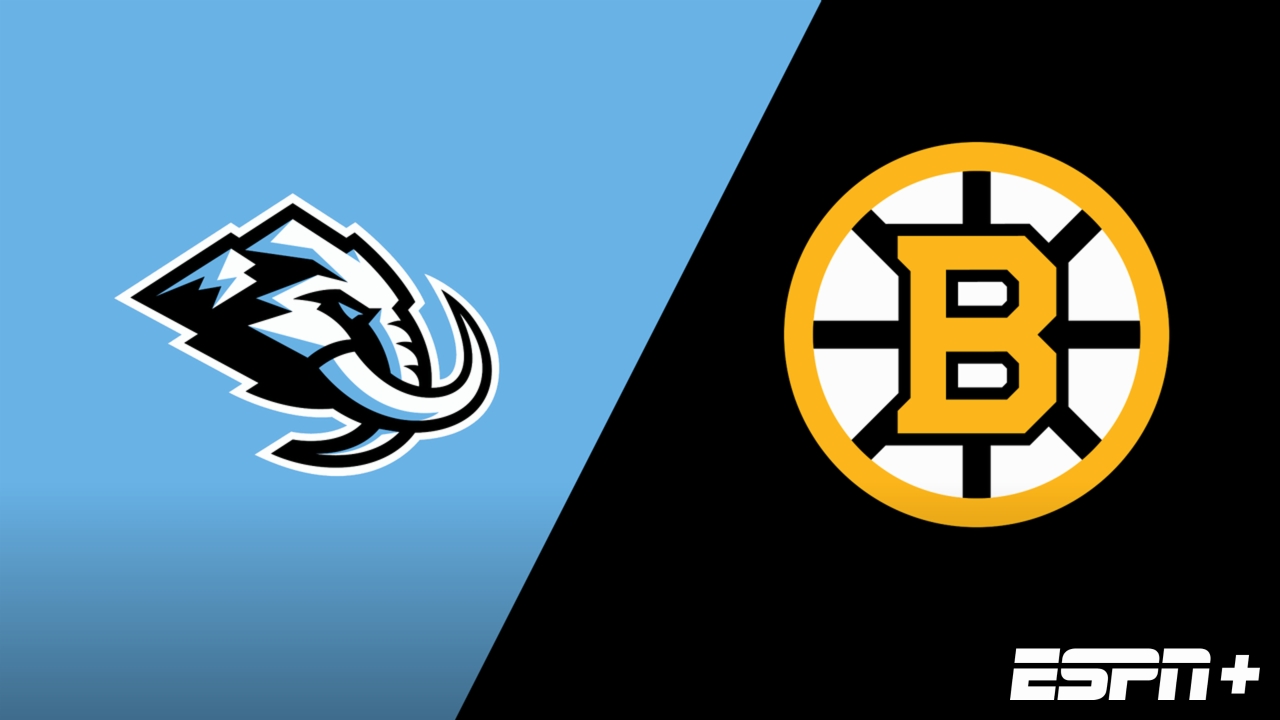 Utah Mammoth vs. Boston Bruins