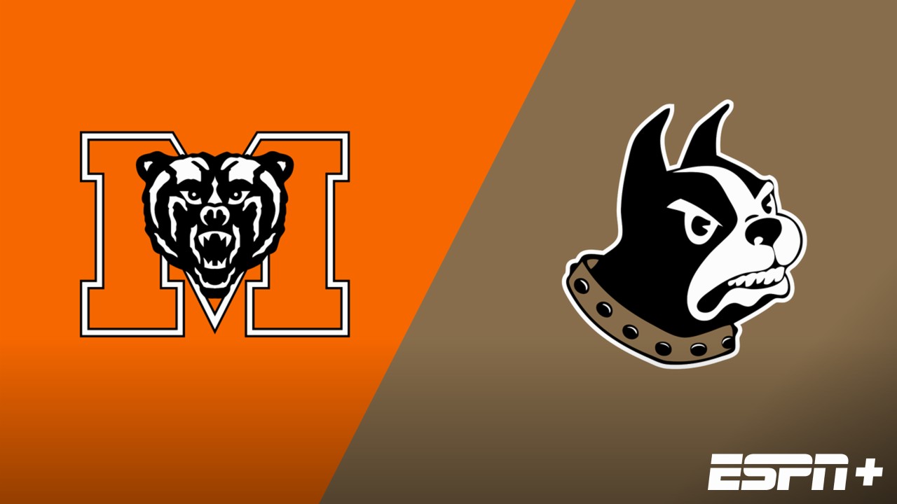 Mercer vs. Wofford