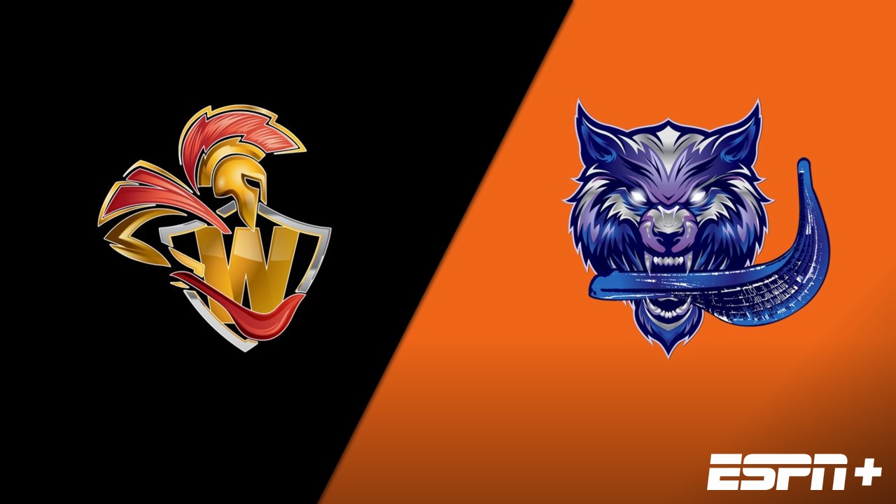 Warriors vs. Renegades