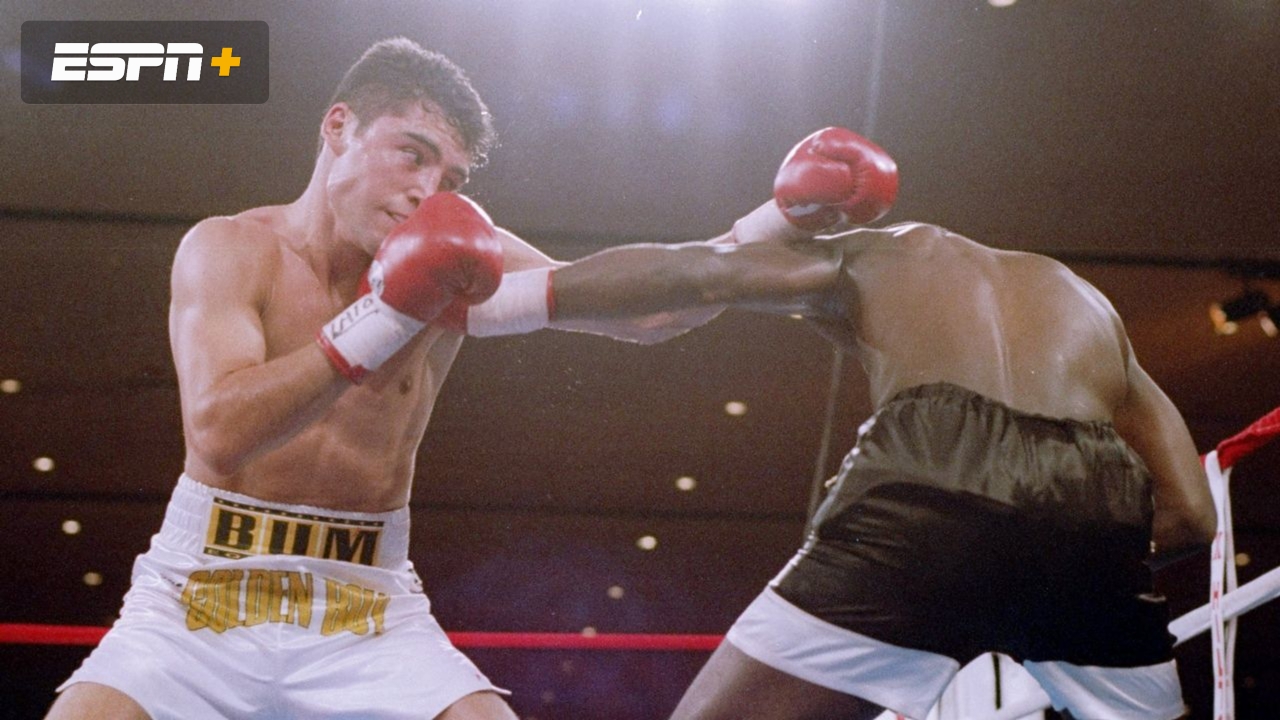 De La Hoya vs. J. Mayweather