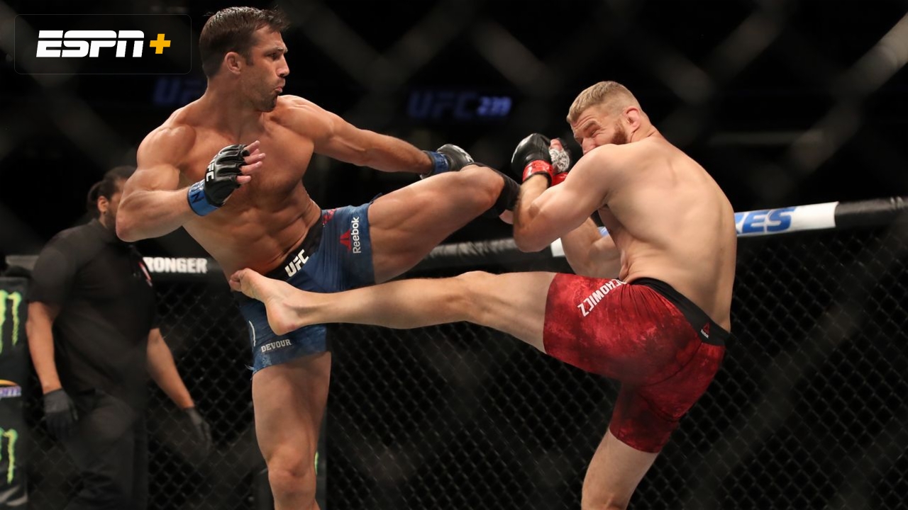Blachowicz vs. Rockhold (UFC 239)