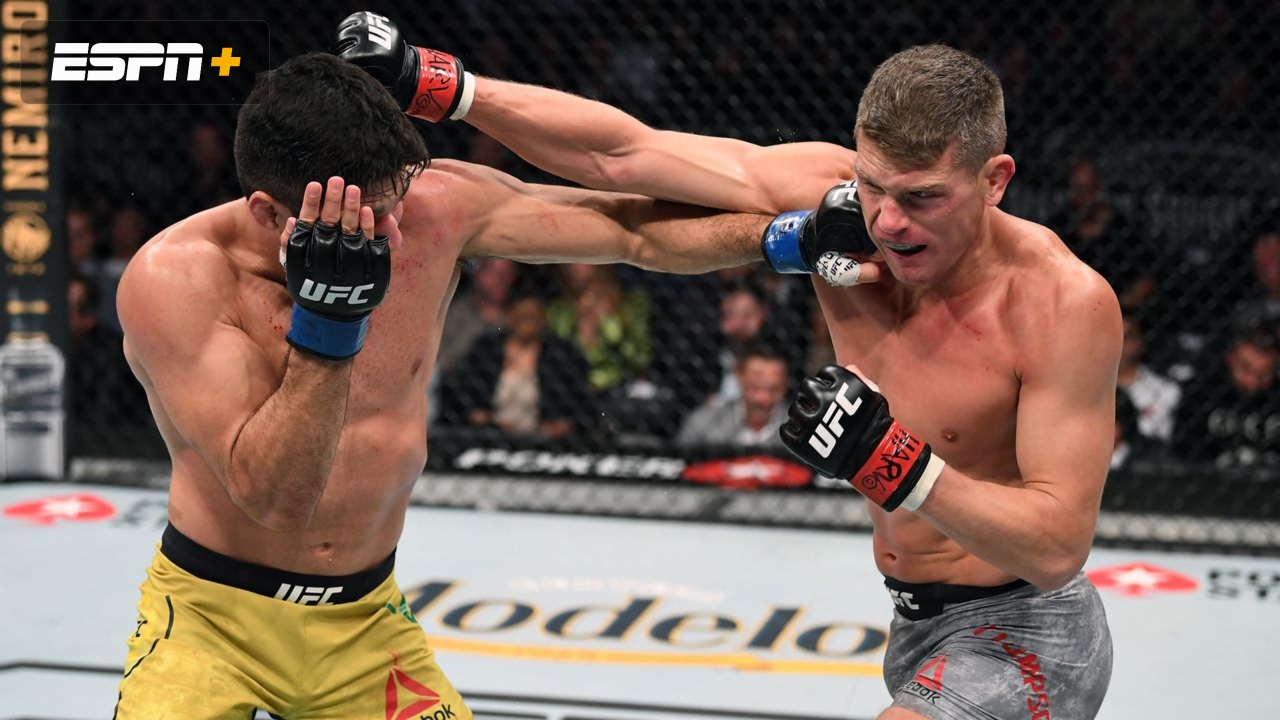 Stephen Thompson vs. Vicente Luque (UFC 244)