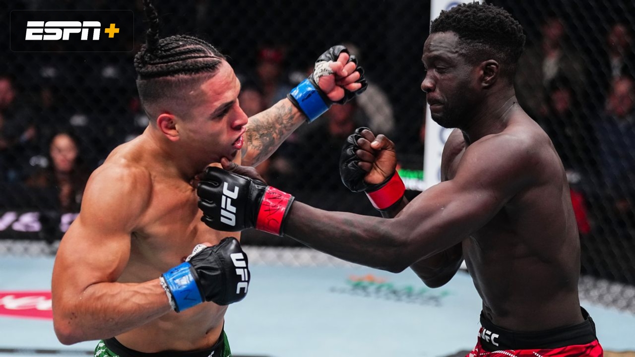 David Onama vs. Roberto Romero (UFC 309)