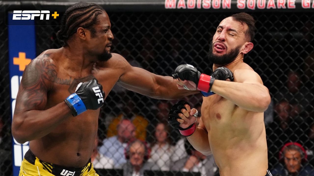 Dominick Reyes vs. Ryan Spann (UFC 281) (11/12/22) - Live Stream ...