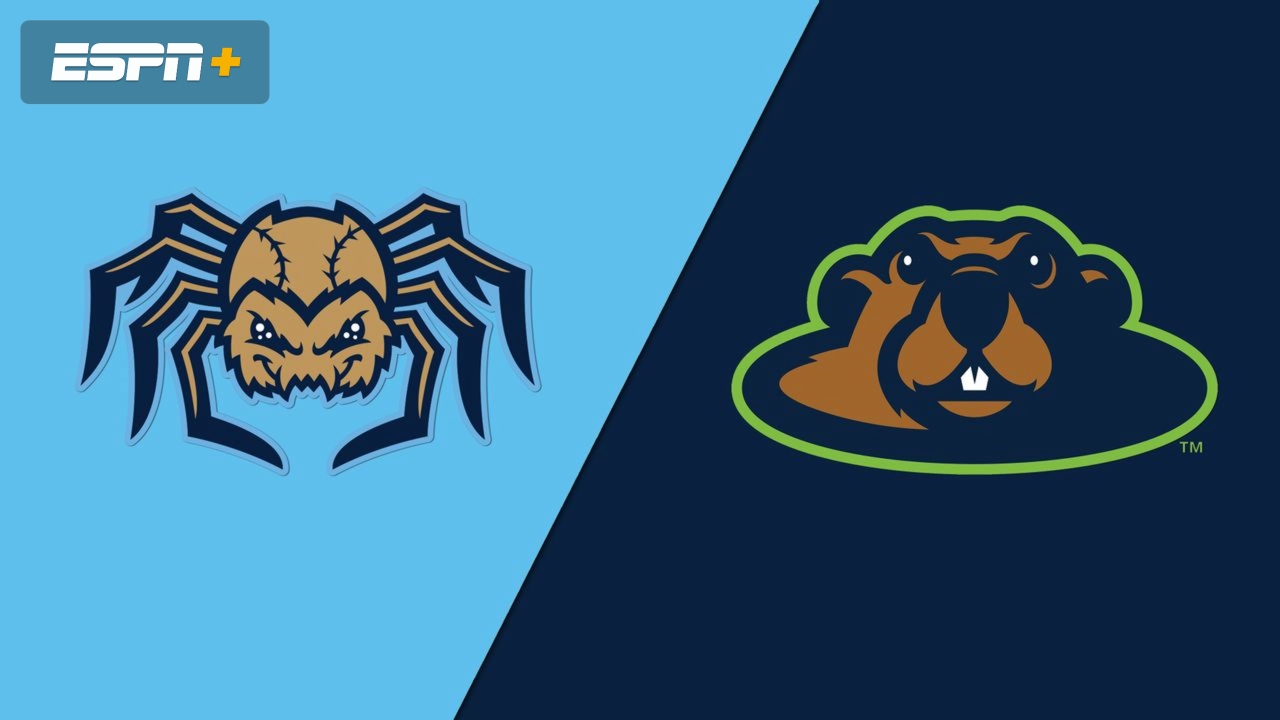 Fond du Lac Dock Spiders vs. Wausau Woodchucks