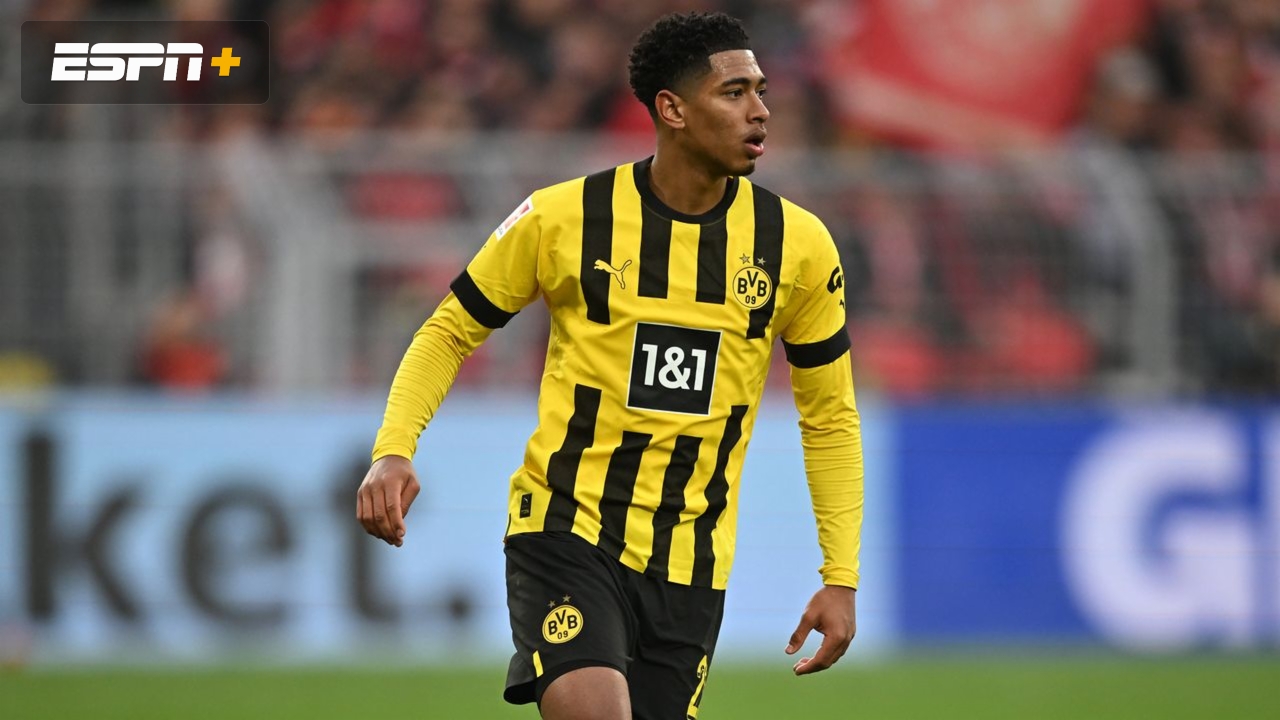 SV Werder Bremen vs. Borussia Dortmund (Bundesliga)