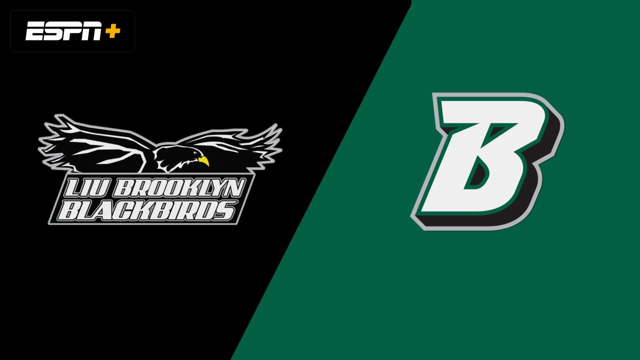 LIU Brooklyn vs. Binghamton (W Soccer)