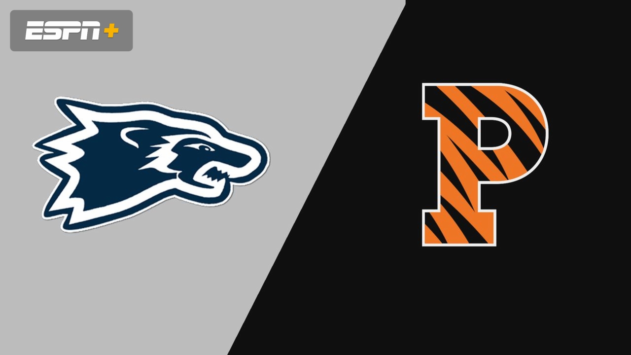 Wesley vs. Princeton (M Basketball)