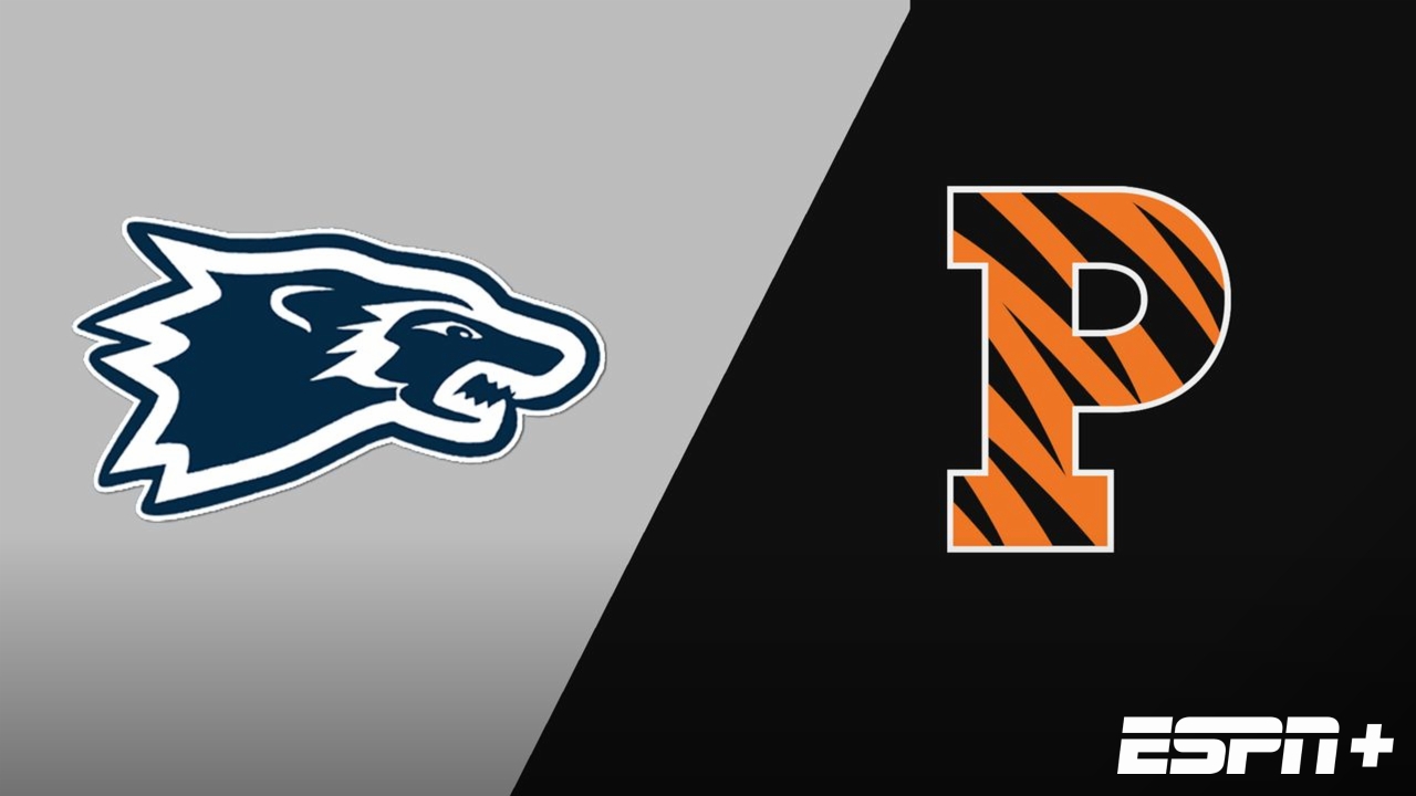 Wesley vs. Princeton (M Basketball)