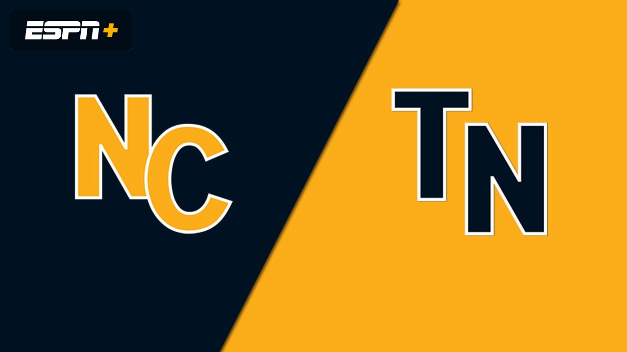 Salisbury NC vs. Gray, TN (Championship) (Little League Softball World Series)