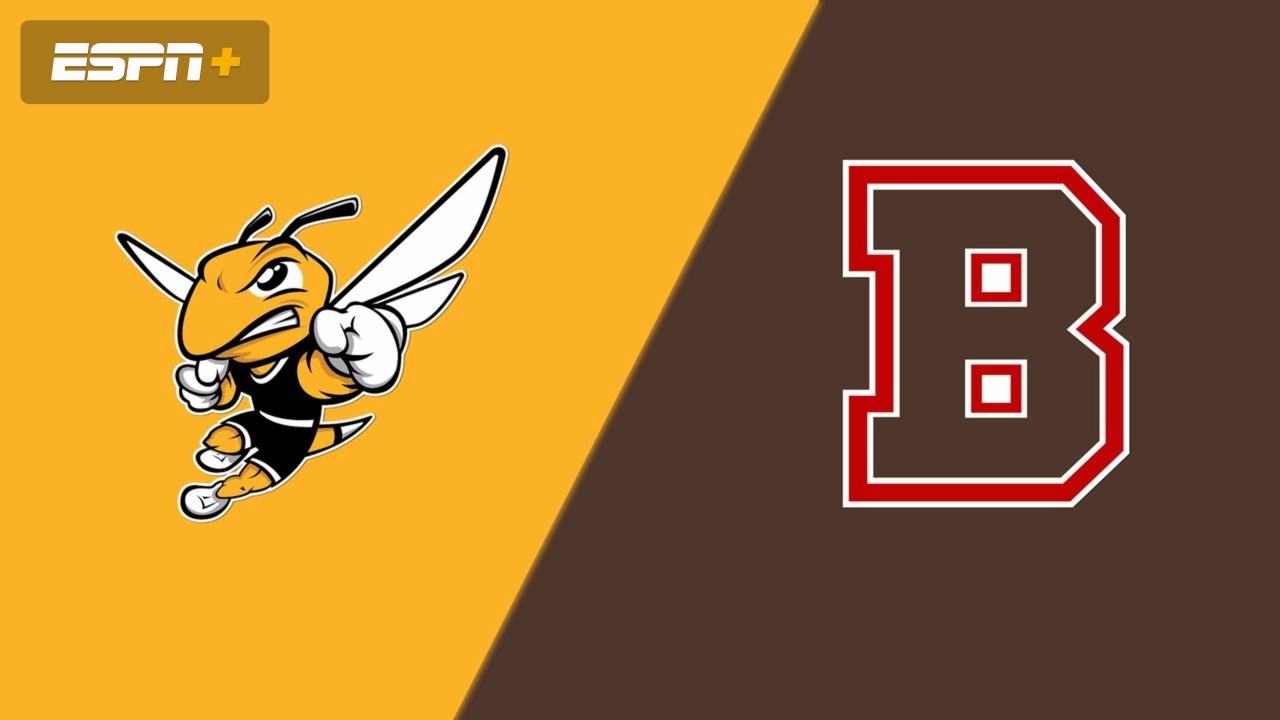 American International vs. Brown