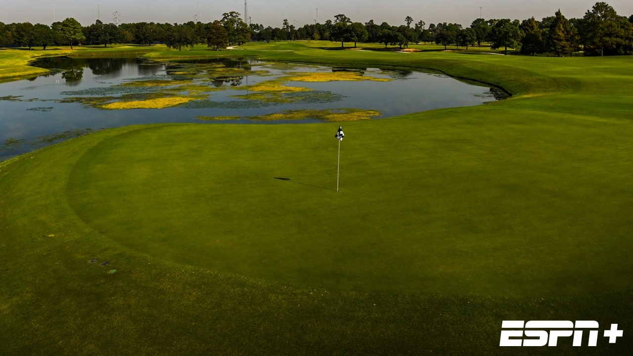 Texas Children's Houston Open: Featured Hole #17 (Second Round)