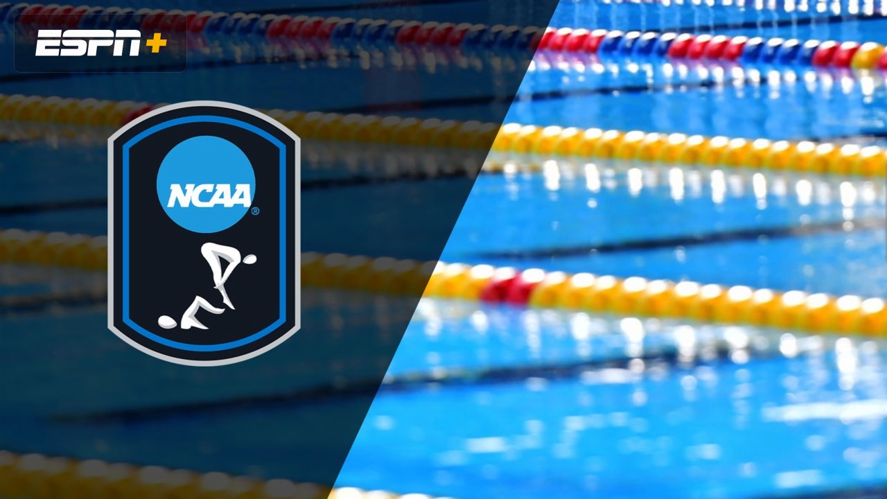 NCAA Women's Swimming and Diving Championship (One-Meter Diving Trials)